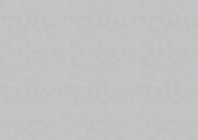 Jasmine (Blackout), Silver - Roller Blind - Image 6
